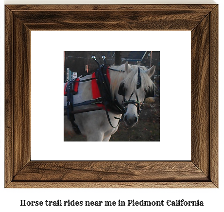 horse trail rides near me in Piedmont, California